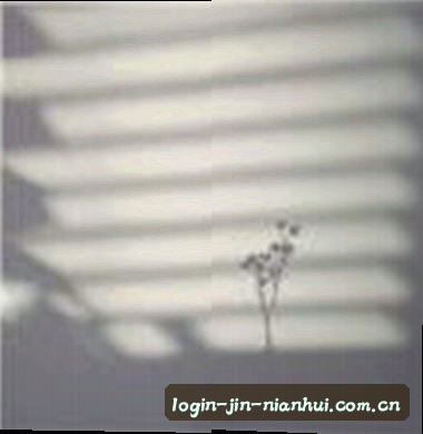 刘强